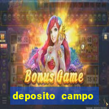 deposito campo grande santos